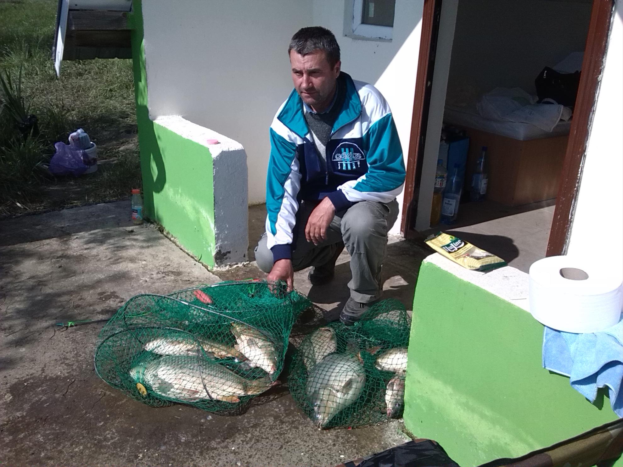 lilieci teleorman - img20140501162836.jpg